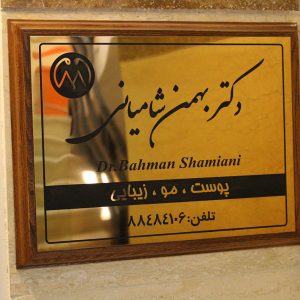 دکتر بهمن شامیانی